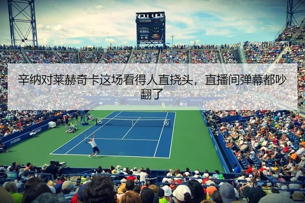 辛纳对莱赫奇卡这场看得人直挠头，直播间弹幕都吵翻了