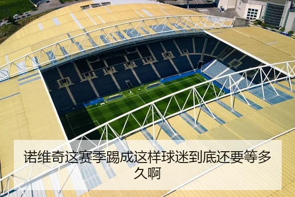 诺维奇这赛季踢成这样球迷到底还要等多久啊