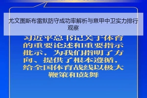 尤文图斯布雷默防守成功率解析与意甲中卫实力排行观察