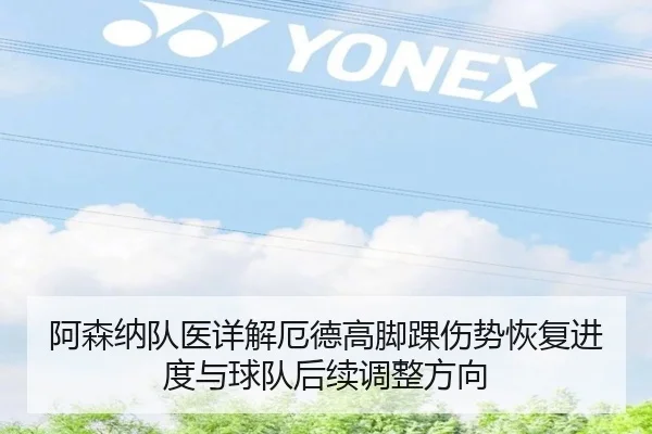 阿森纳队医详解厄德高脚踝伤势恢复进度与球队后续调整方向
